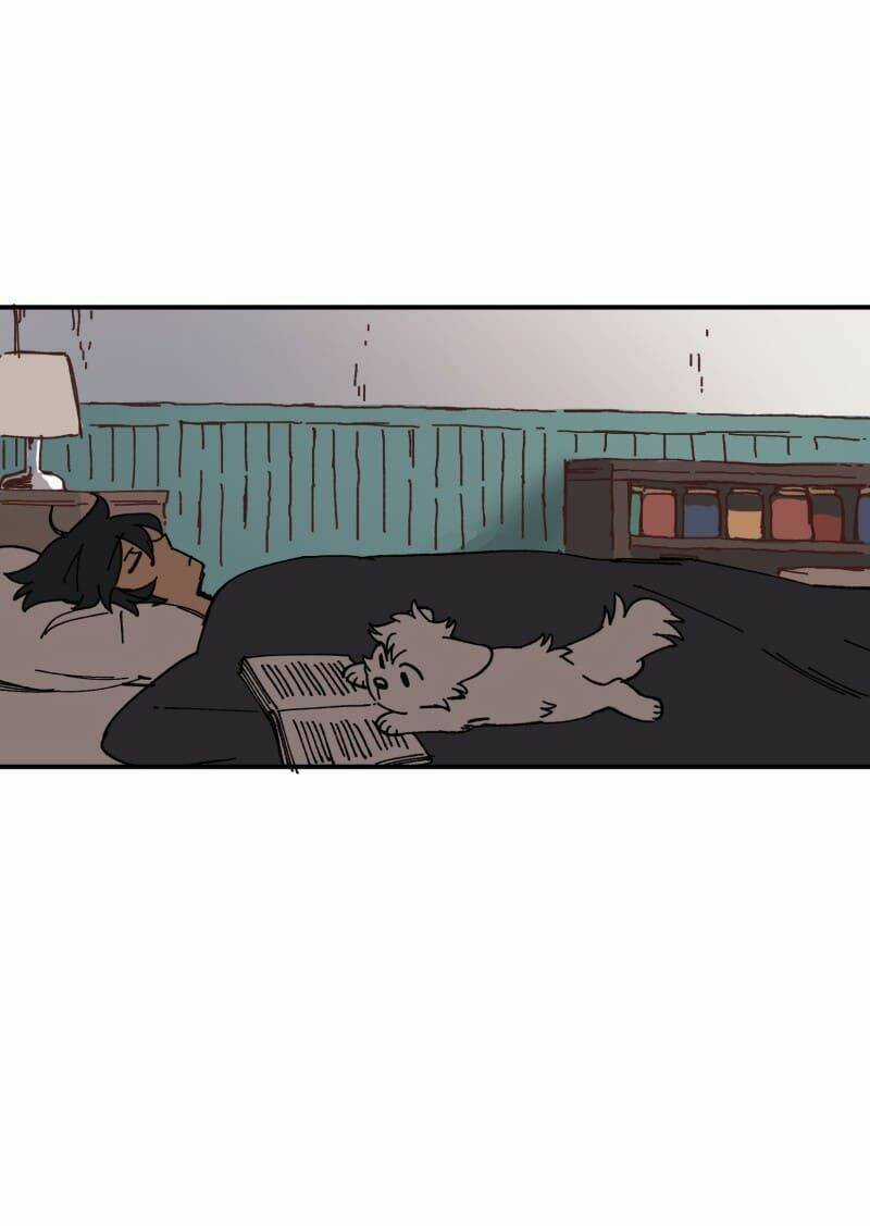 Cội Nguồn Ánh Sáng Chapter 105 trang 8