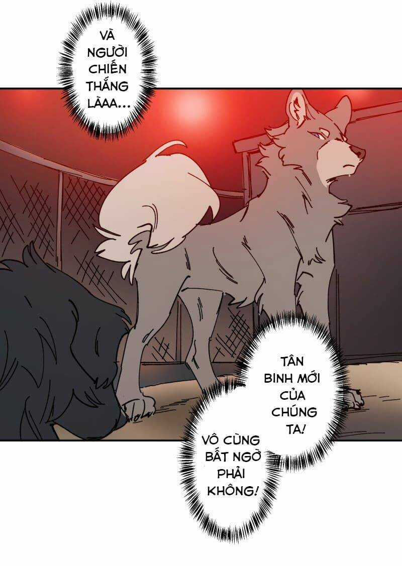 Cội Nguồn Ánh Sáng Chapter 106 trang 20