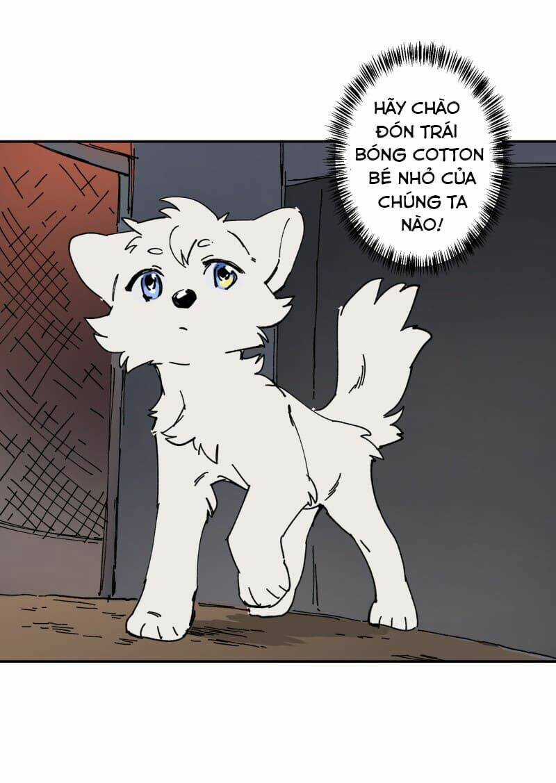 Cội Nguồn Ánh Sáng Chapter 106 trang 35