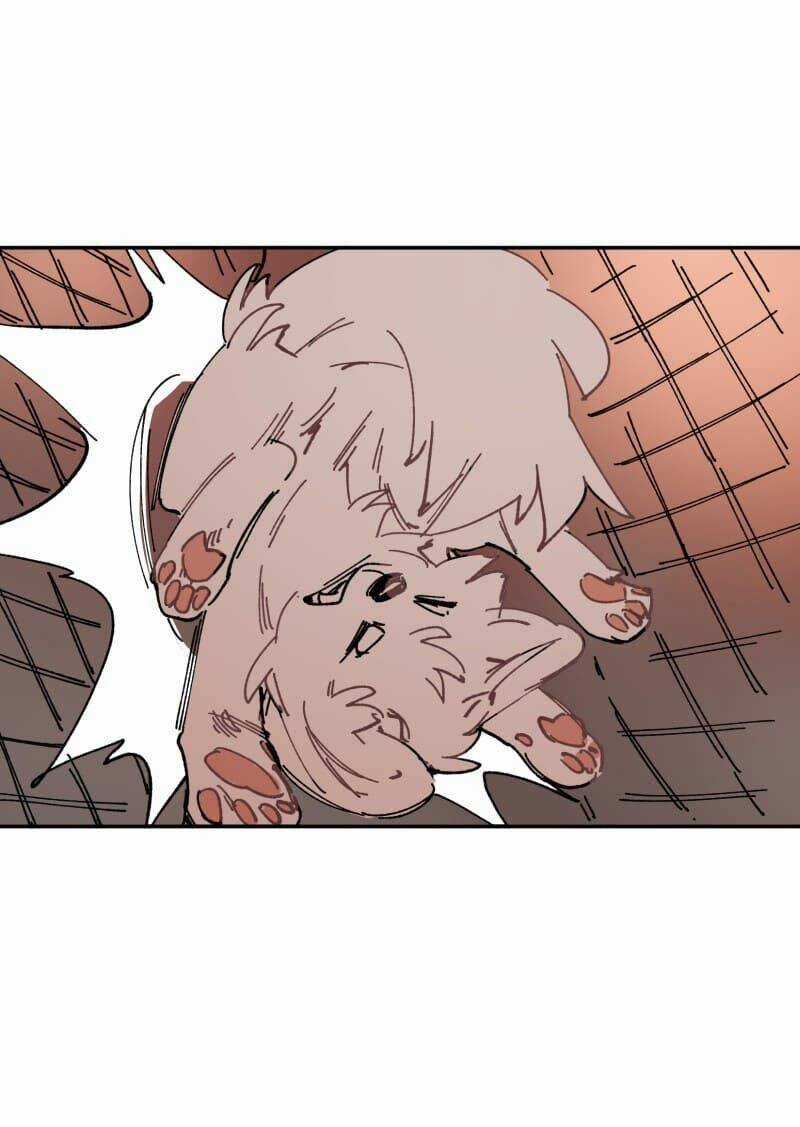 Cội Nguồn Ánh Sáng Chapter 107 trang 14