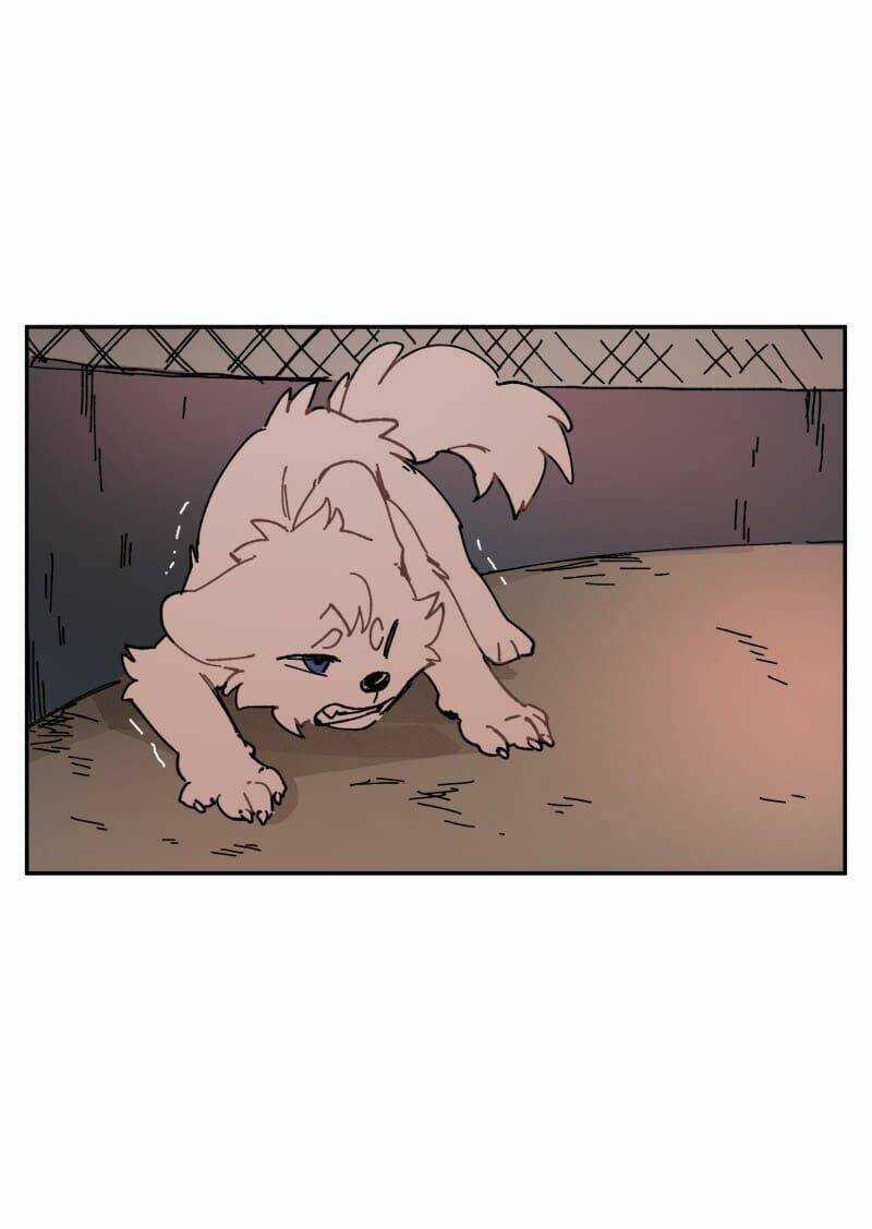 Cội Nguồn Ánh Sáng Chapter 107 trang 16