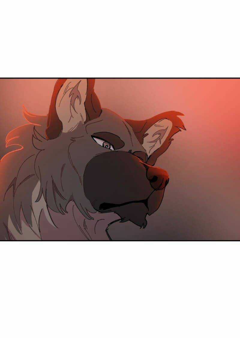 Cội Nguồn Ánh Sáng Chapter 107 trang 2