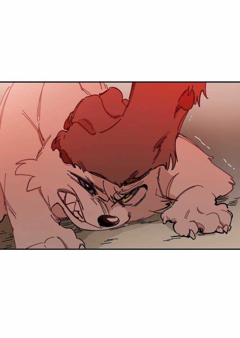 Cội Nguồn Ánh Sáng Chapter 107 trang 20