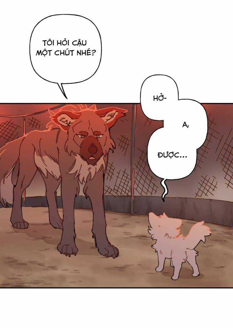 Cội Nguồn Ánh Sáng Chapter 107 trang 3