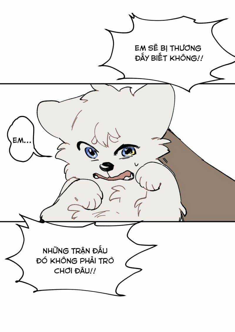 Cội Nguồn Ánh Sáng Chapter 107 trang 47