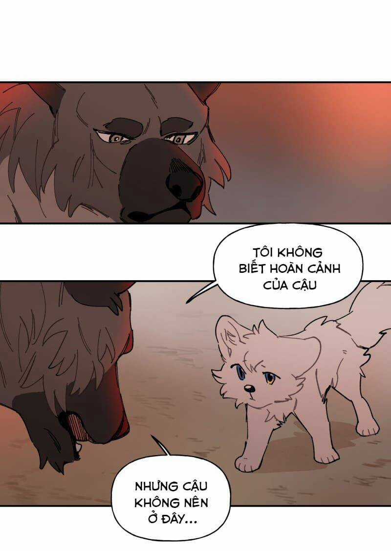 Cội Nguồn Ánh Sáng Chapter 107 trang 5