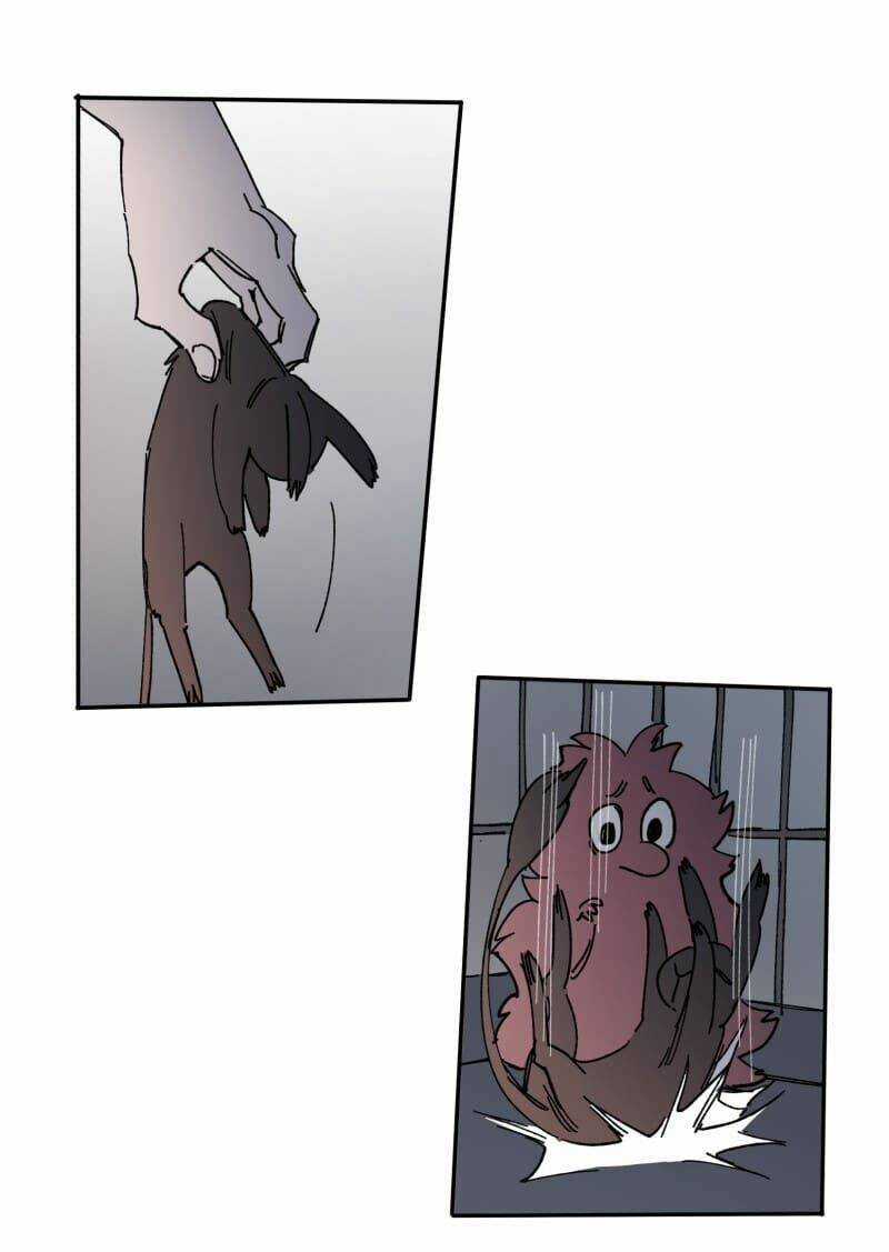 Cội Nguồn Ánh Sáng Chapter 108 trang 14