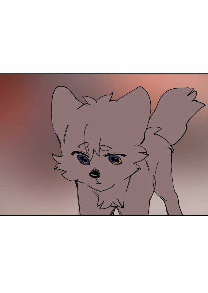 Cội Nguồn Ánh Sáng Chapter 109 trang 42