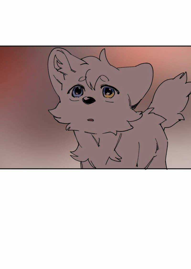 Cội Nguồn Ánh Sáng Chapter 109 trang 43