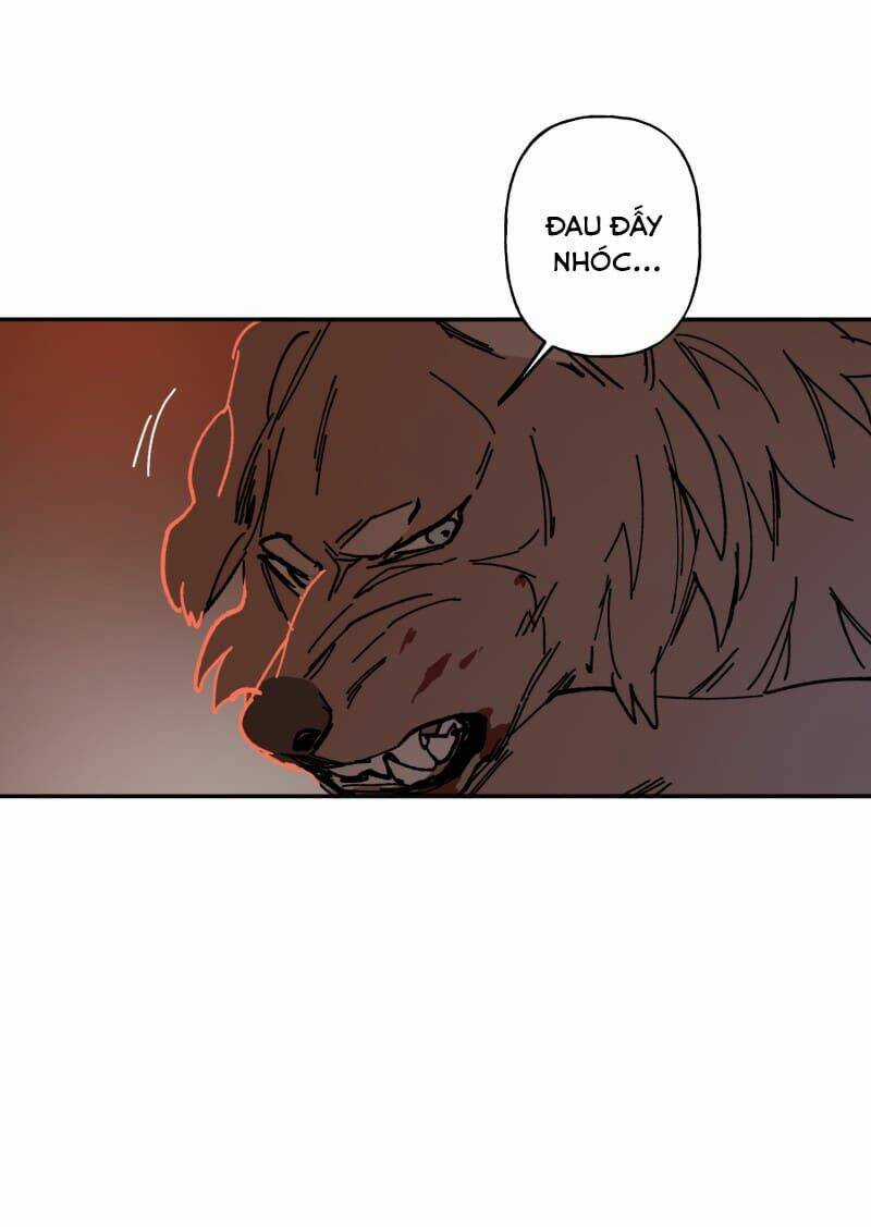 Cội Nguồn Ánh Sáng Chapter 110 trang 23