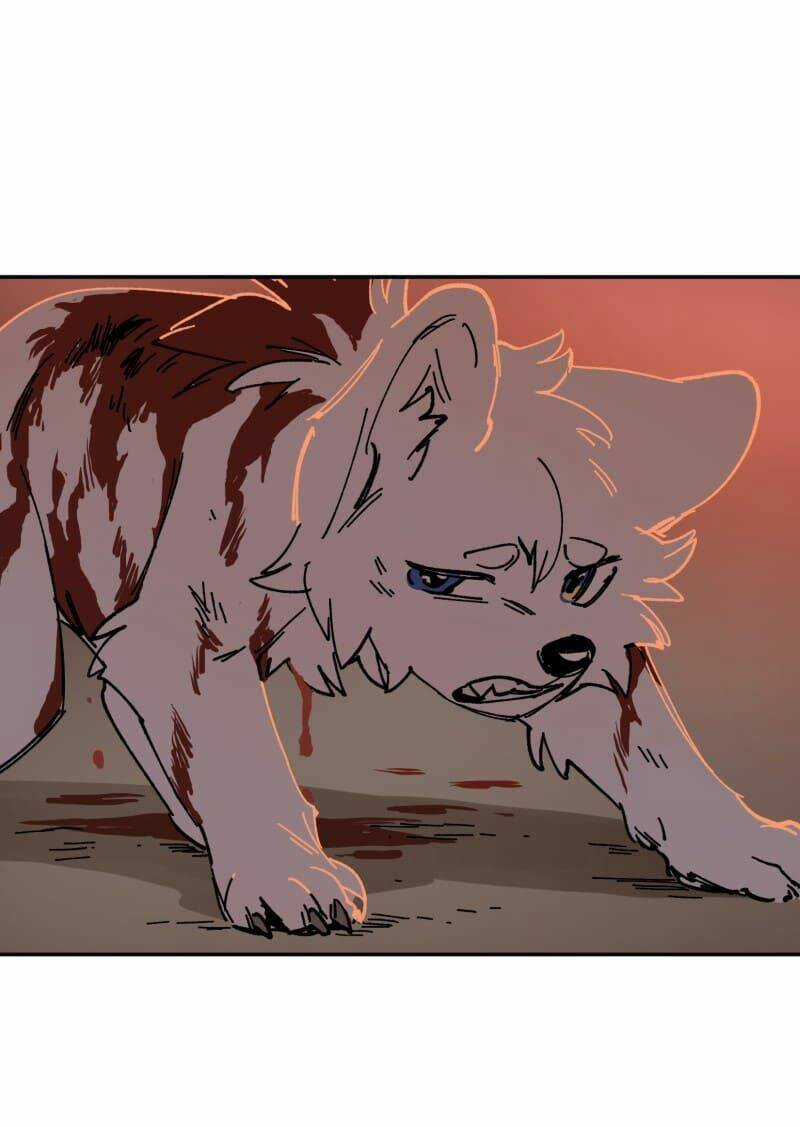 Cội Nguồn Ánh Sáng Chapter 110 trang 26