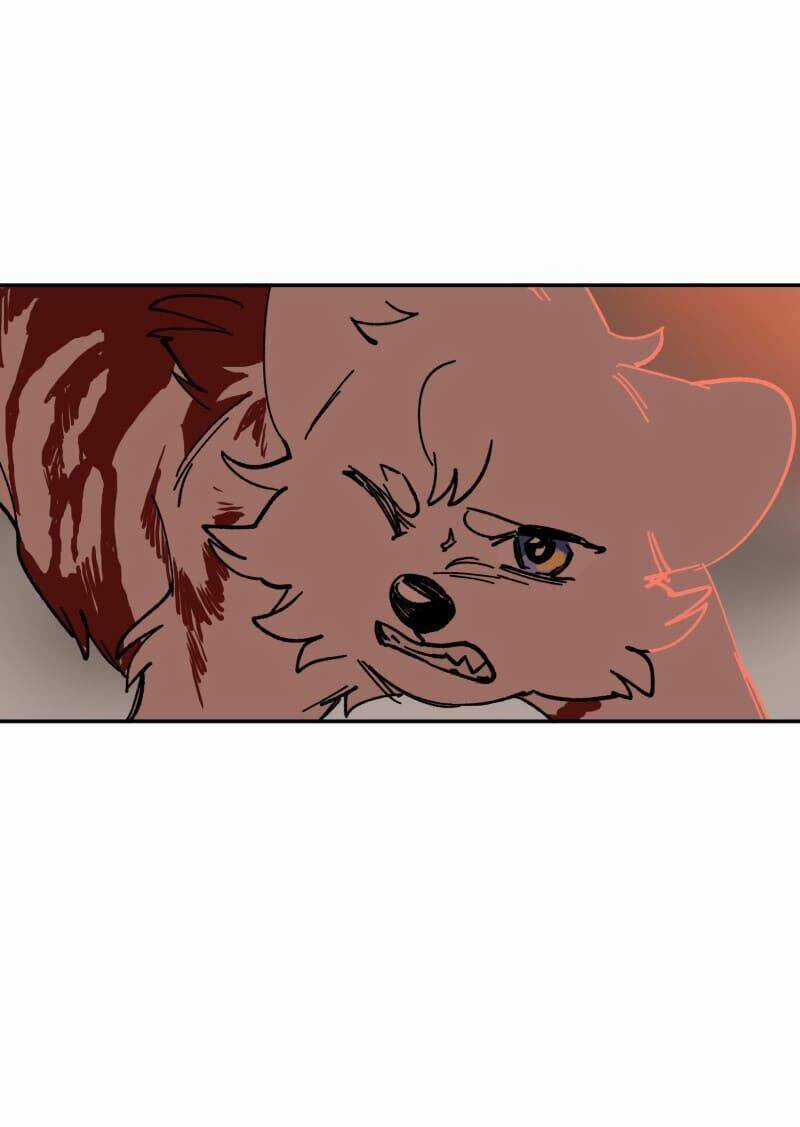 Cội Nguồn Ánh Sáng Chapter 110 trang 30