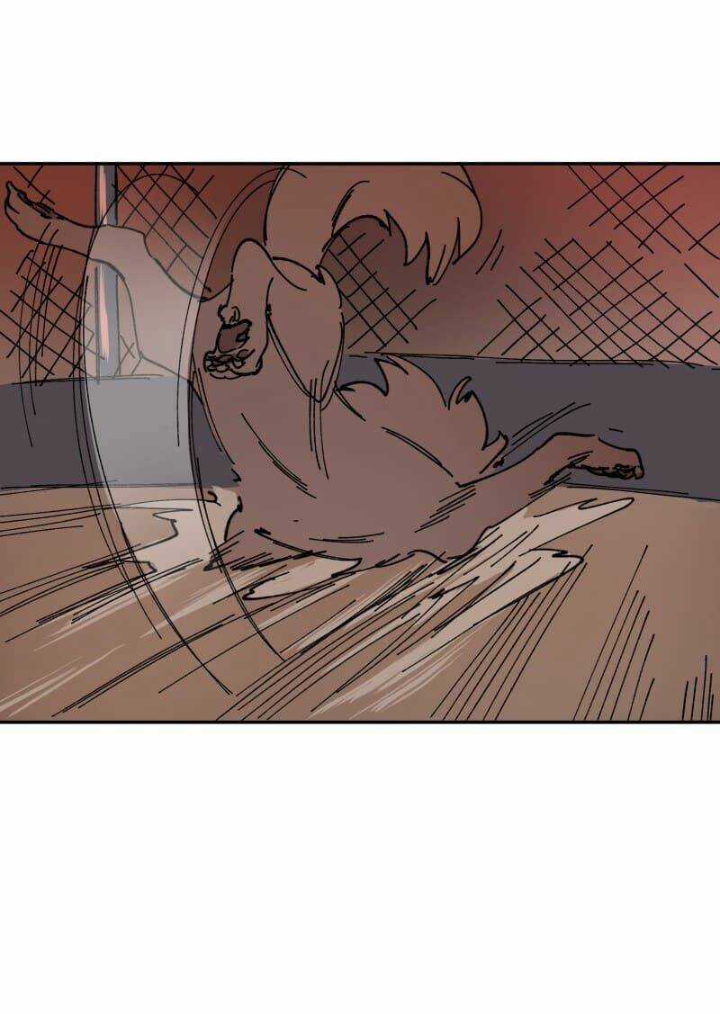 Cội Nguồn Ánh Sáng Chapter 110 trang 33