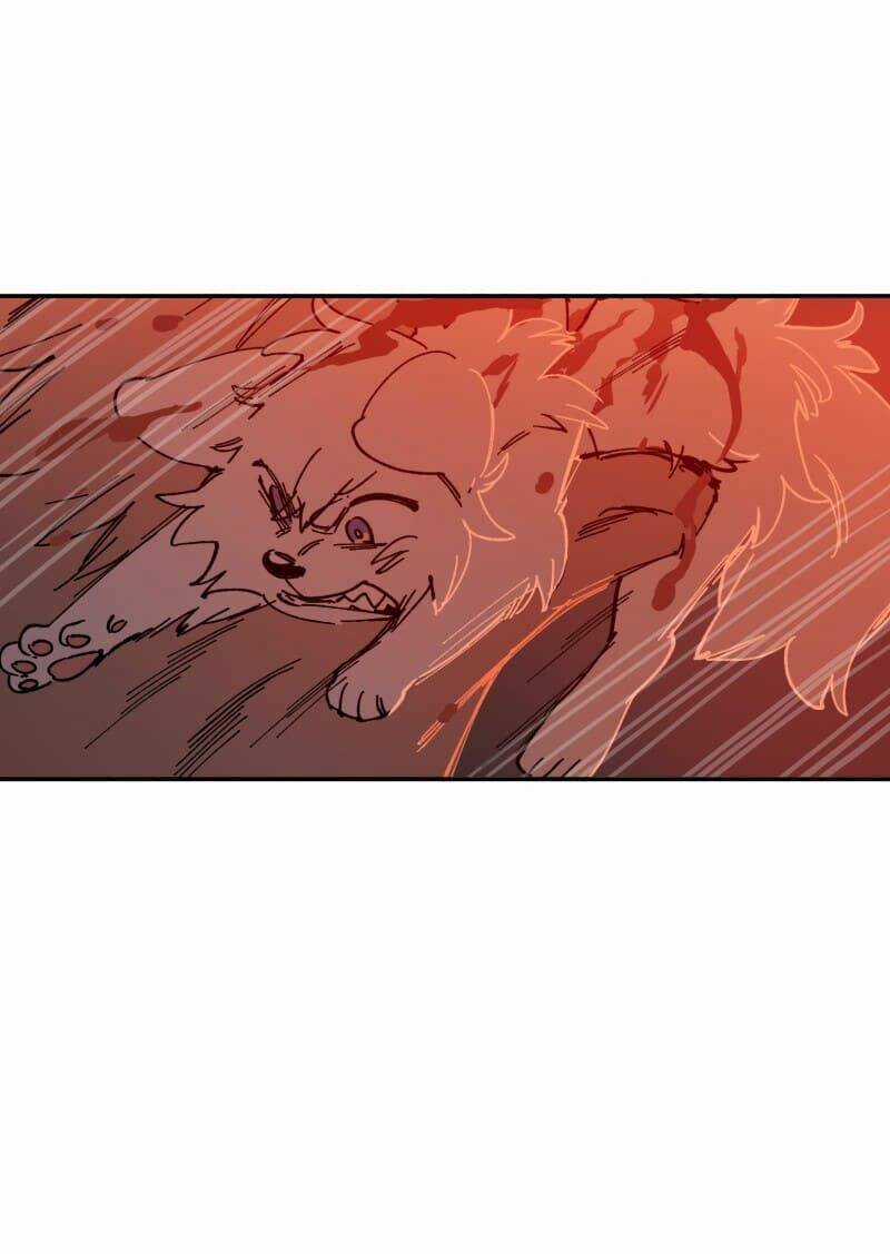 Cội Nguồn Ánh Sáng Chapter 110 trang 4