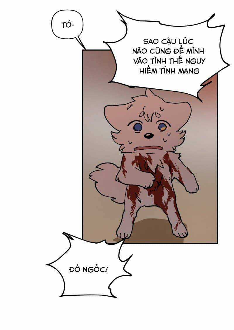 Cội Nguồn Ánh Sáng Chapter 110 trang 41