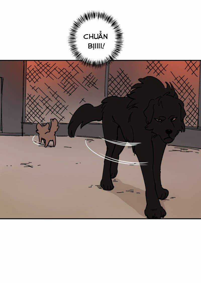 Cội Nguồn Ánh Sáng Chapter 113 trang 28