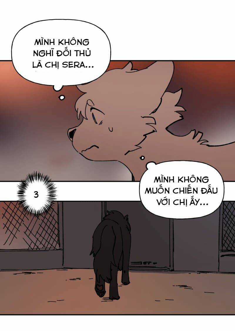 Cội Nguồn Ánh Sáng Chapter 113 trang 29