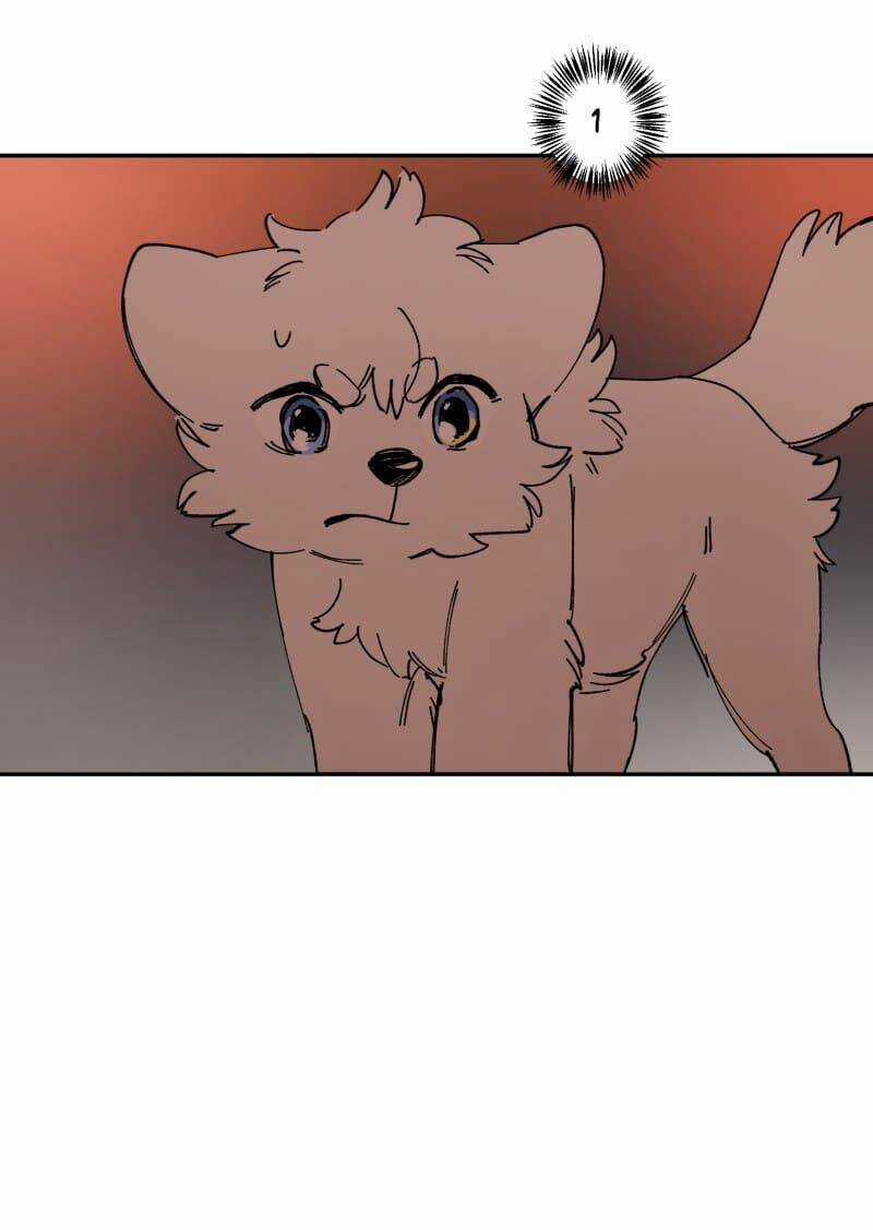 Cội Nguồn Ánh Sáng Chapter 113 trang 31