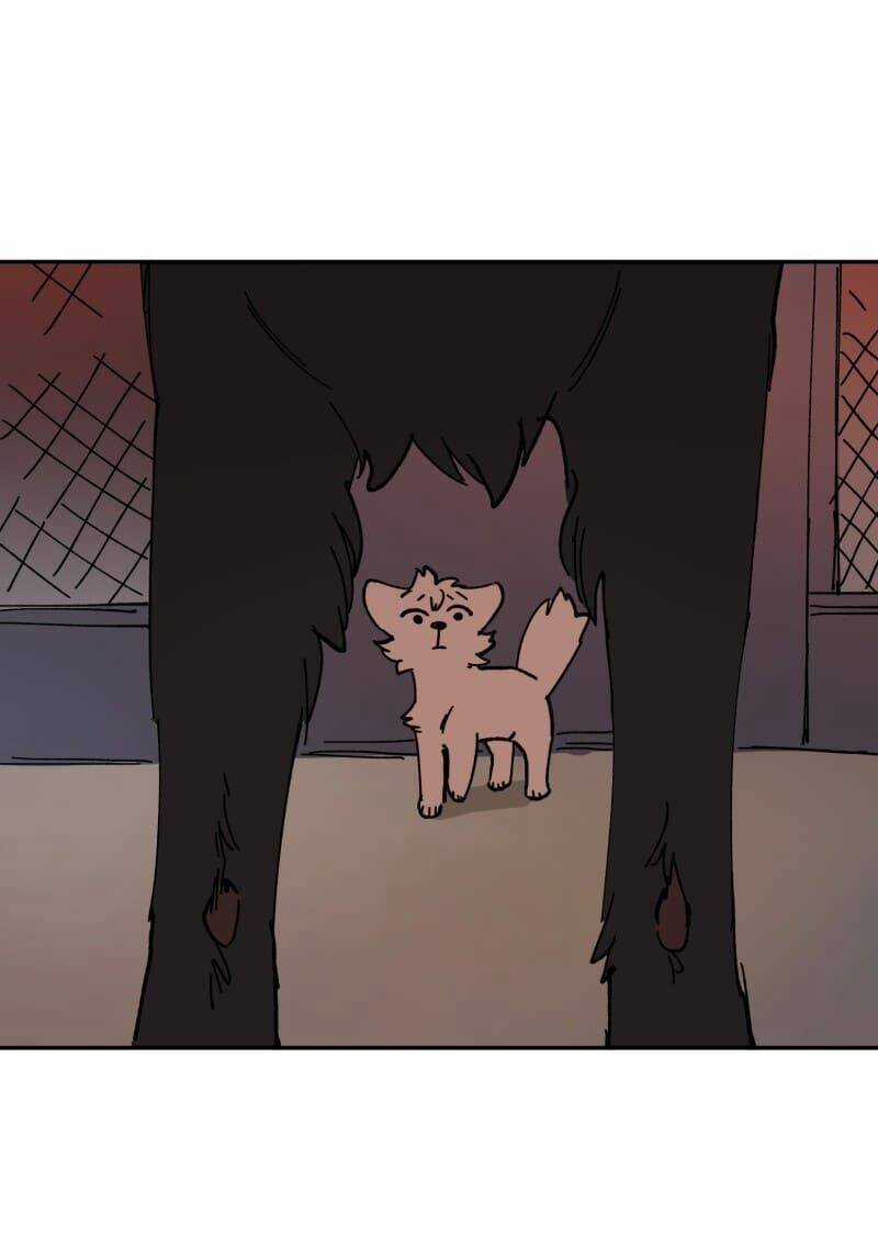 Cội Nguồn Ánh Sáng Chapter 113 trang 34