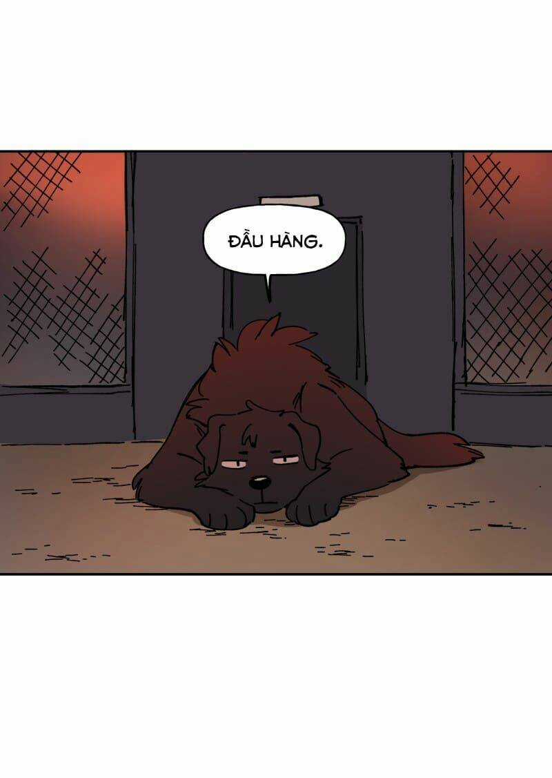 Cội Nguồn Ánh Sáng Chapter 113 trang 46