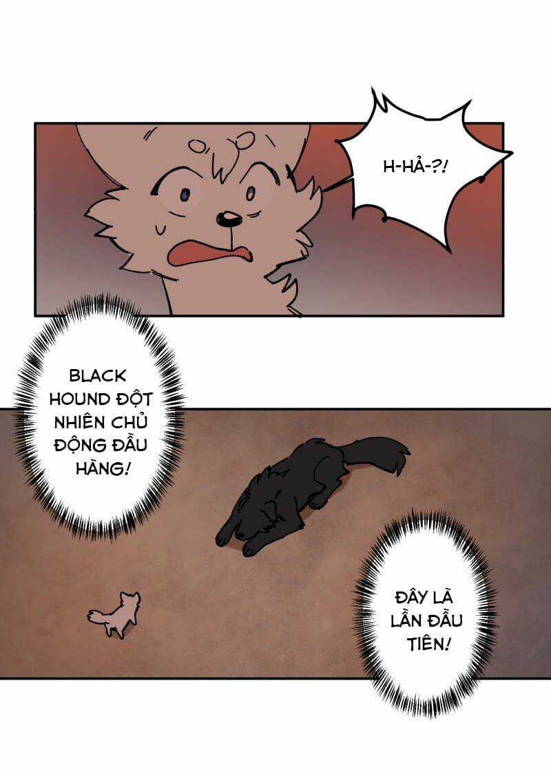 Cội Nguồn Ánh Sáng Chapter 113 trang 47