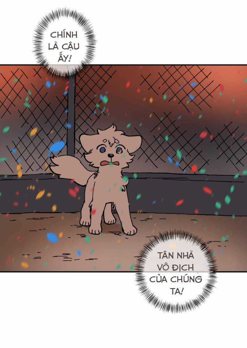 Cội Nguồn Ánh Sáng Chapter 113 trang 51
