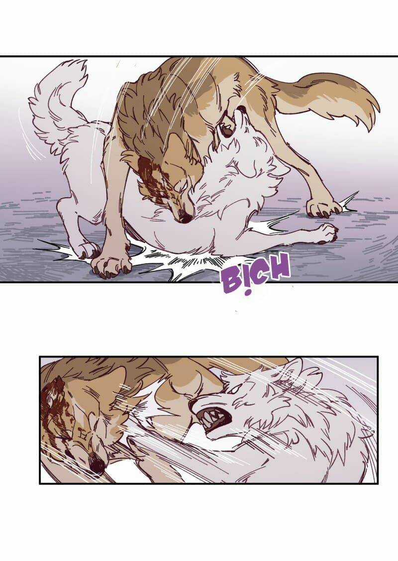 Cội Nguồn Ánh Sáng Chapter 115 trang 38