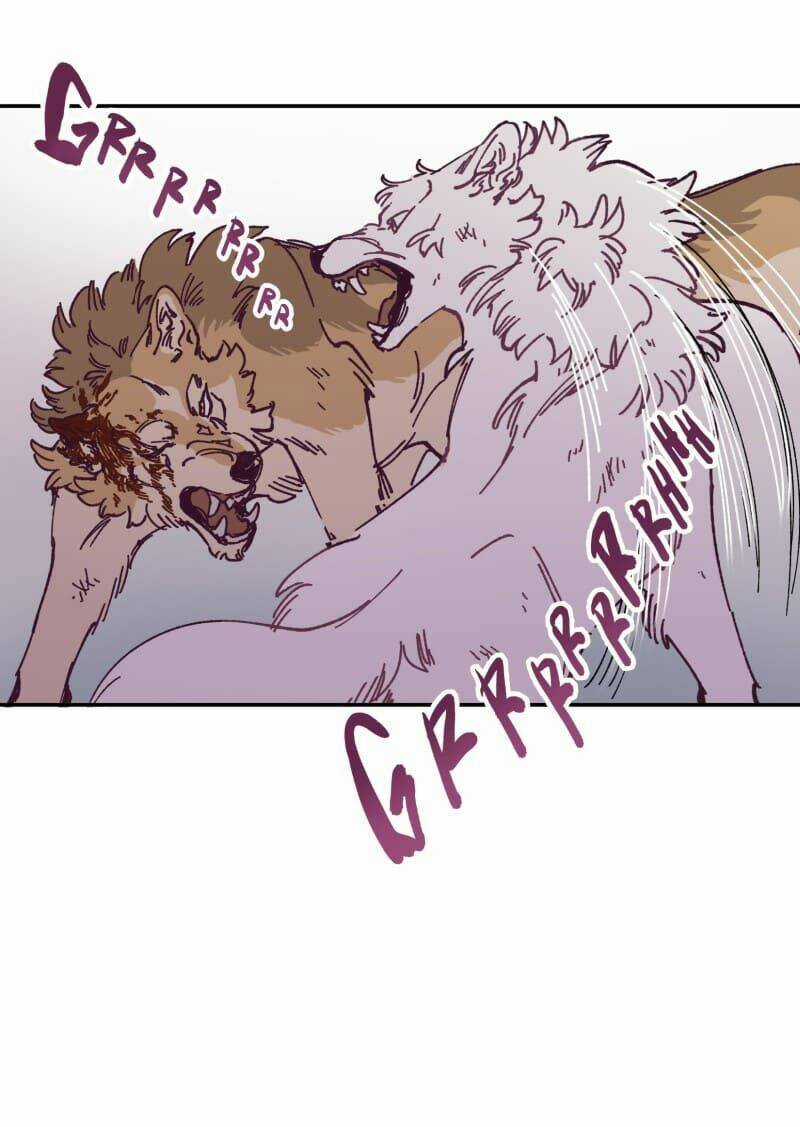 Cội Nguồn Ánh Sáng Chapter 115 trang 39