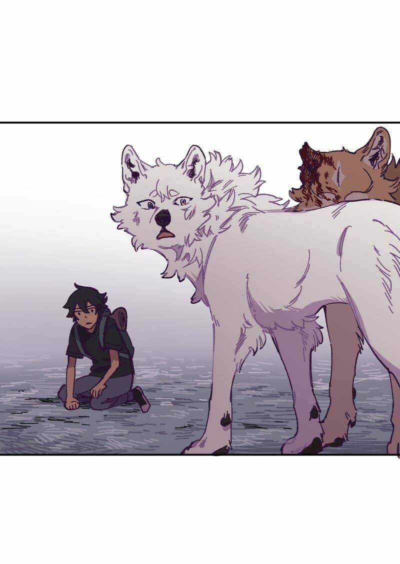 Cội Nguồn Ánh Sáng Chapter 115 trang 46