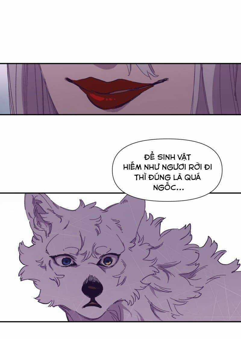 Cội Nguồn Ánh Sáng Chapter 116 trang 21