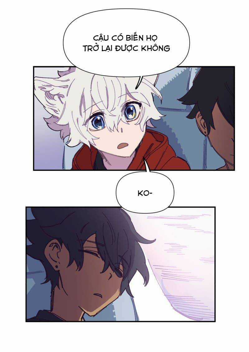 Cội Nguồn Ánh Sáng Chapter 117 trang 15