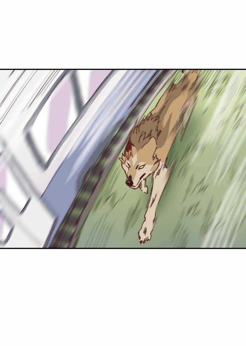 Cội Nguồn Ánh Sáng Chapter 118 trang 29