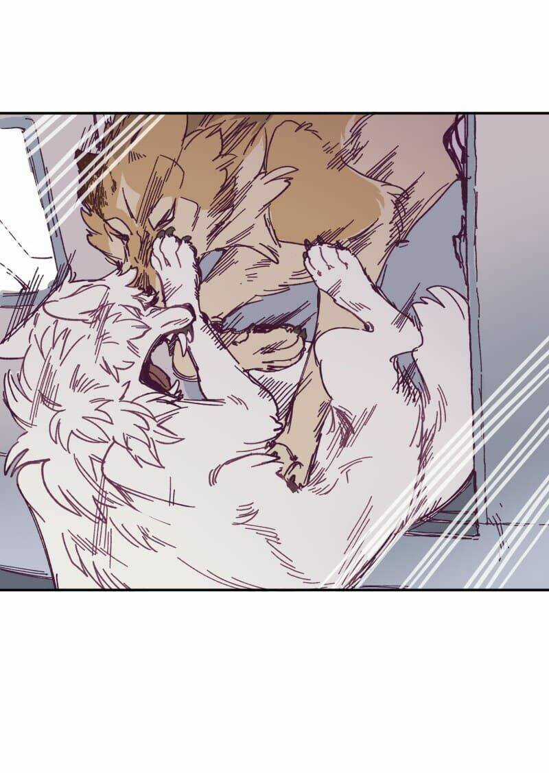 Cội Nguồn Ánh Sáng Chapter 119 trang 2