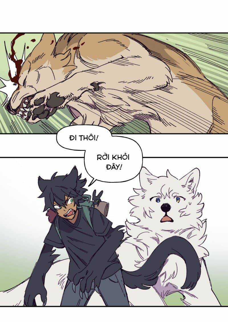 Cội Nguồn Ánh Sáng Chapter 119 trang 21