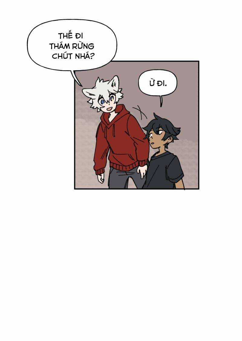 Cội Nguồn Ánh Sáng Chapter 126 trang 17