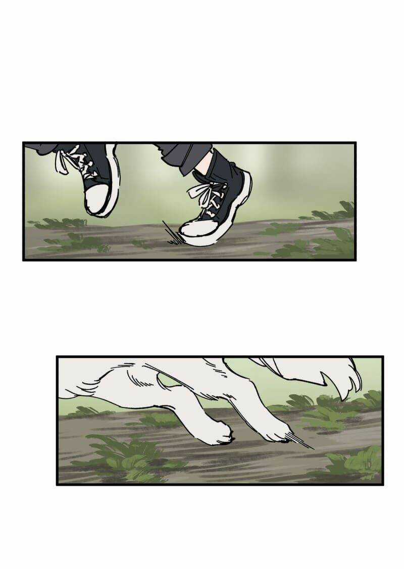 Cội Nguồn Ánh Sáng Chapter 127 trang 11