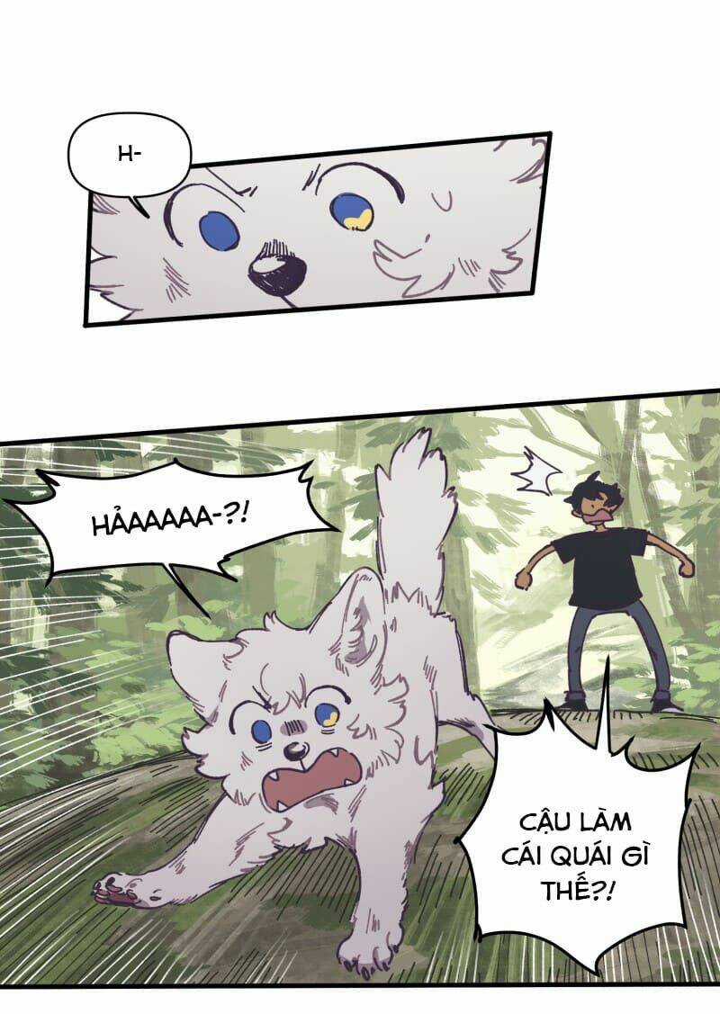 Cội Nguồn Ánh Sáng Chapter 127 trang 12