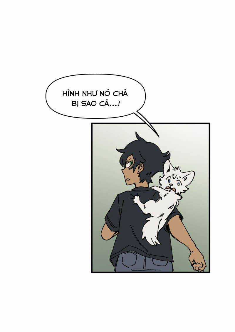 Cội Nguồn Ánh Sáng Chapter 127 trang 17