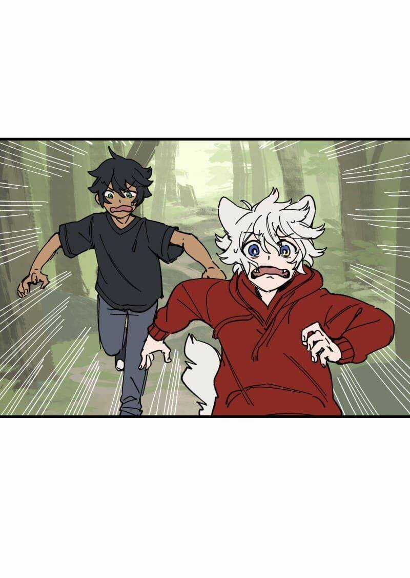 Cội Nguồn Ánh Sáng Chapter 127 trang 2