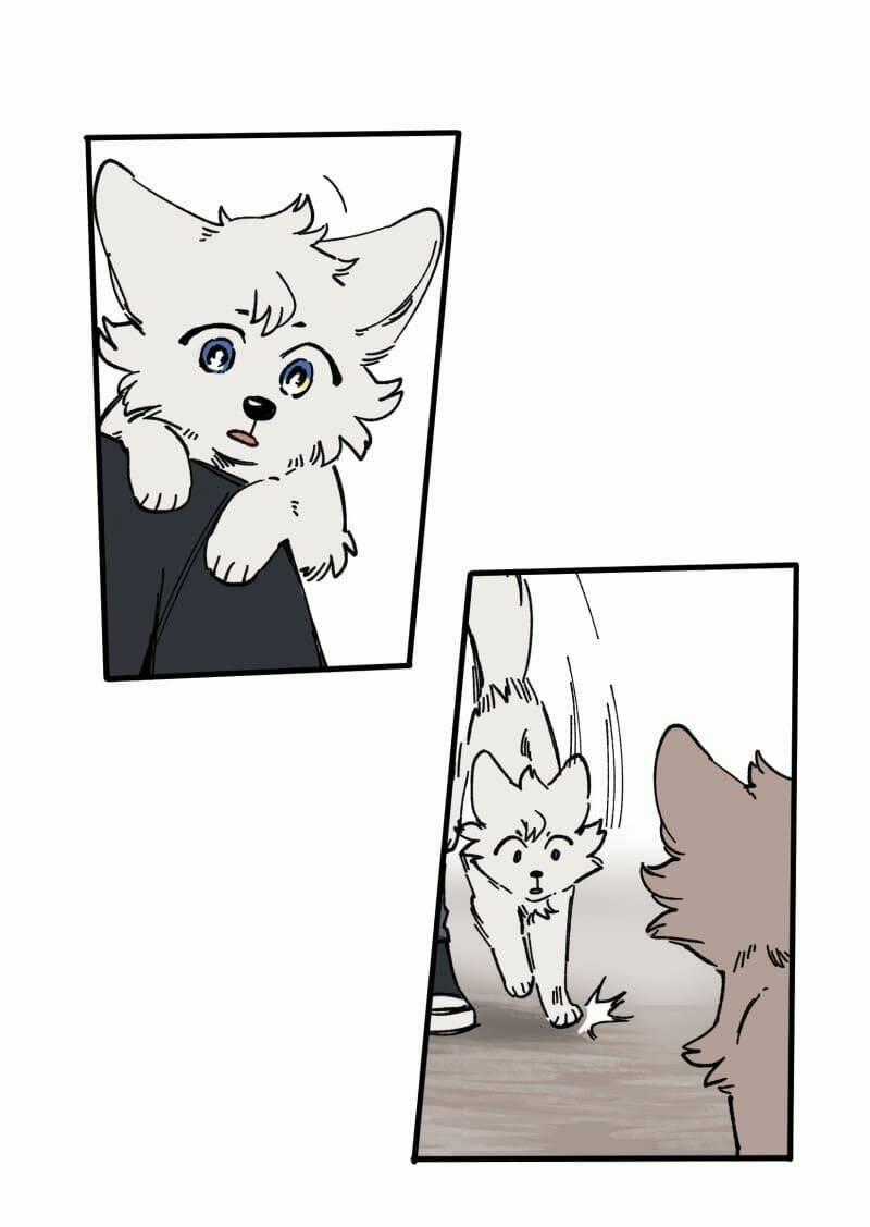 Cội Nguồn Ánh Sáng Chapter 128 trang 31