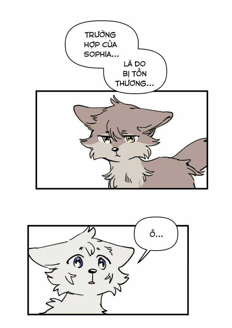 Cội Nguồn Ánh Sáng Chapter 129 trang 4