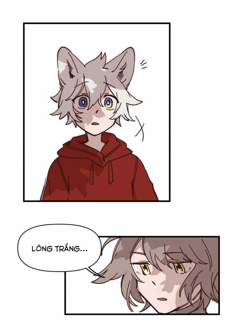 Cội Nguồn Ánh Sáng Chapter 130 trang 14