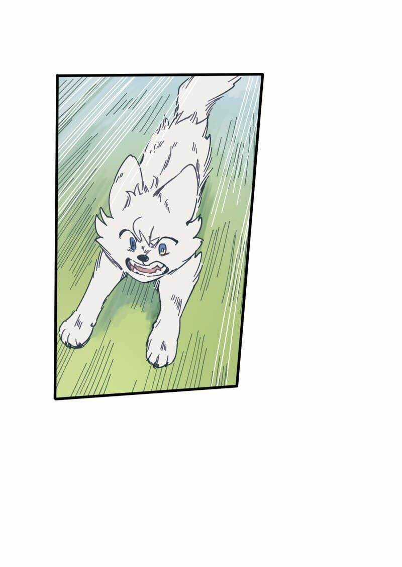 Cội Nguồn Ánh Sáng Chapter 134 trang 11