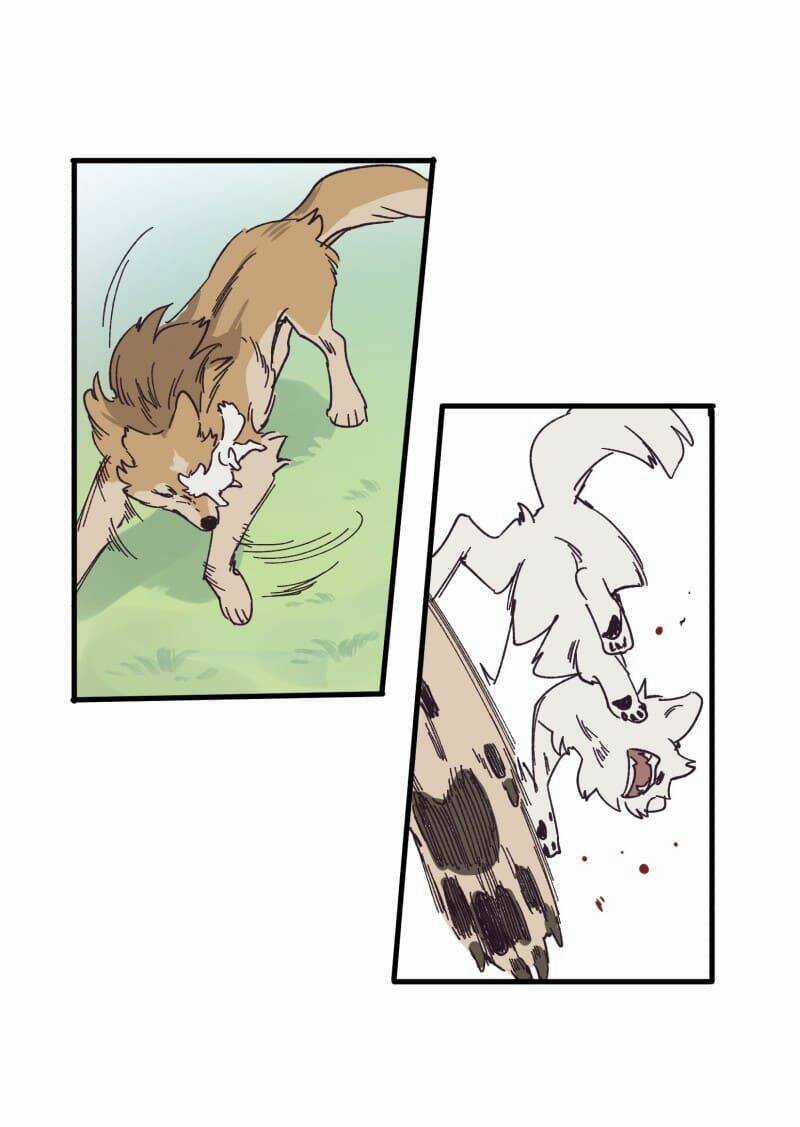 Cội Nguồn Ánh Sáng Chapter 134 trang 13