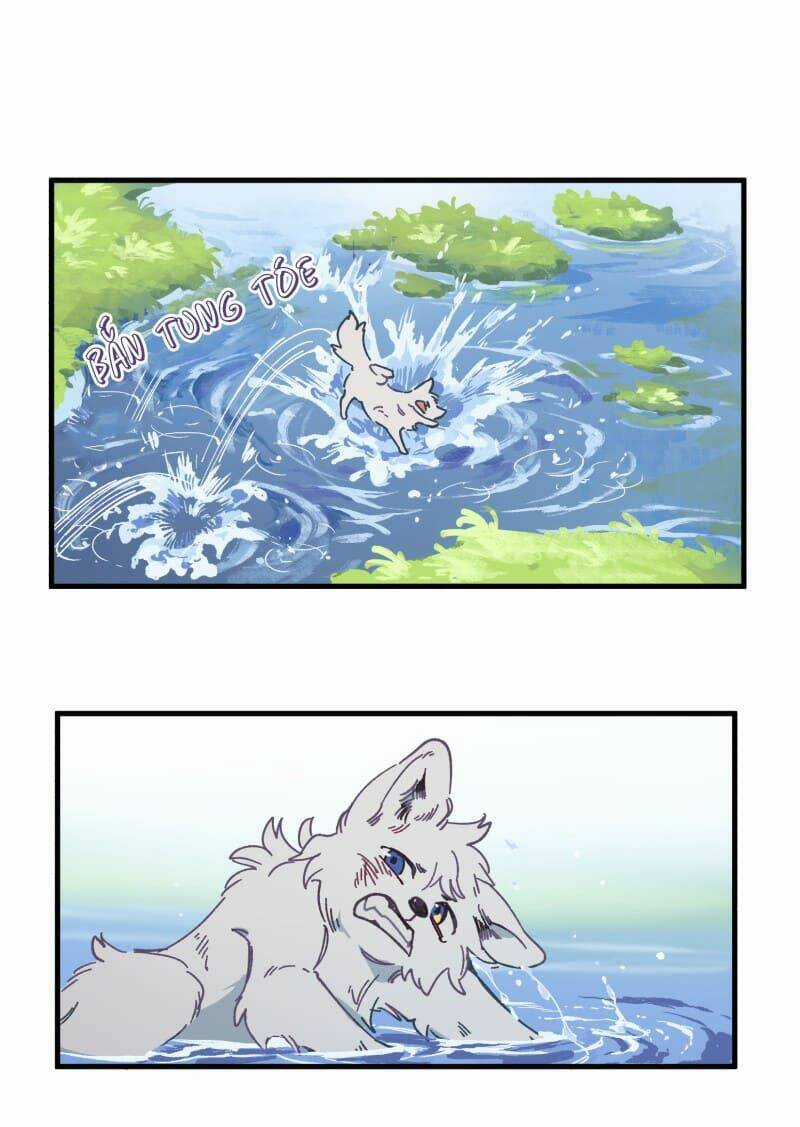 Cội Nguồn Ánh Sáng Chapter 134 trang 14