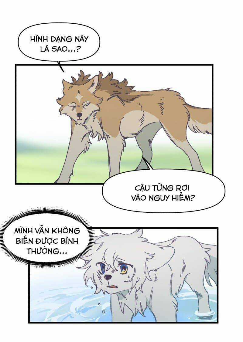 Cội Nguồn Ánh Sáng Chapter 134 trang 15