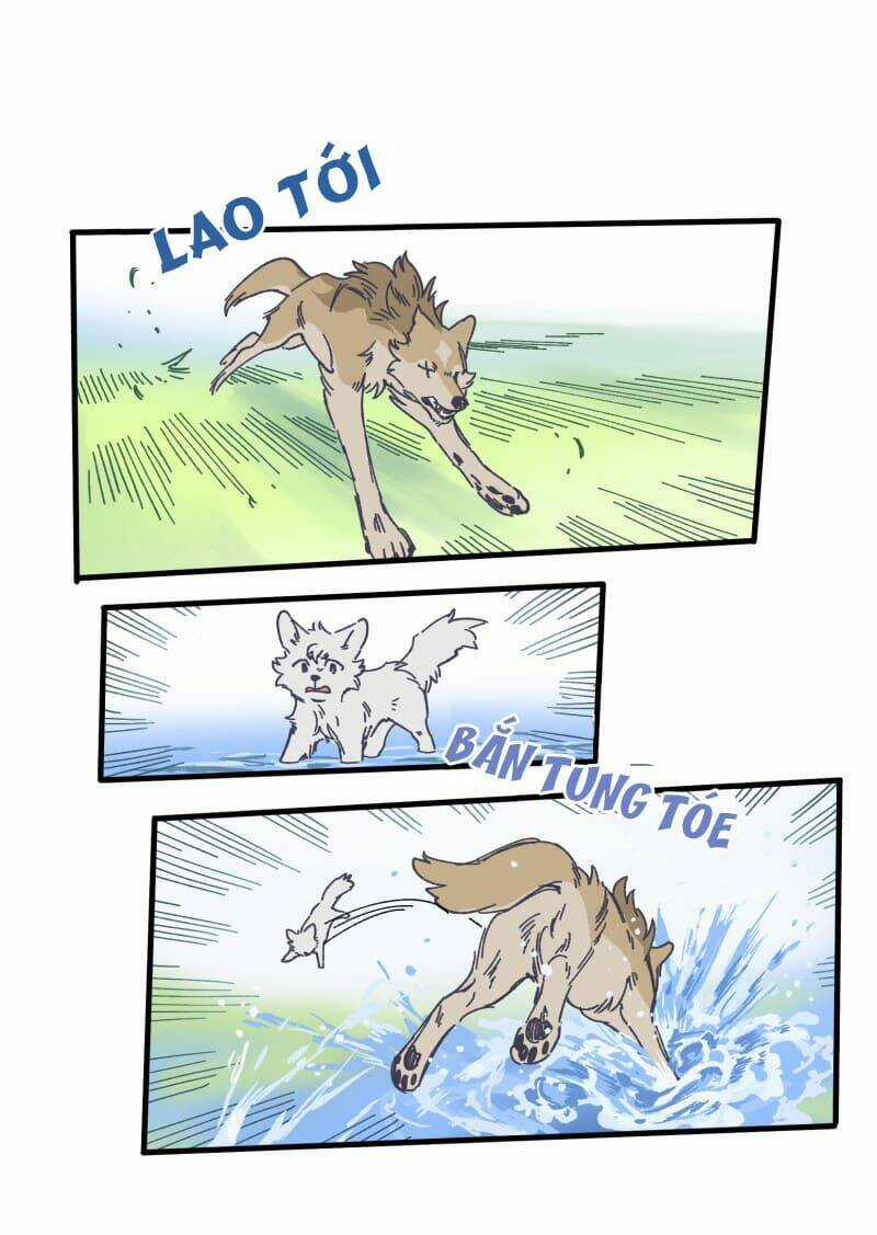 Cội Nguồn Ánh Sáng Chapter 134 trang 17