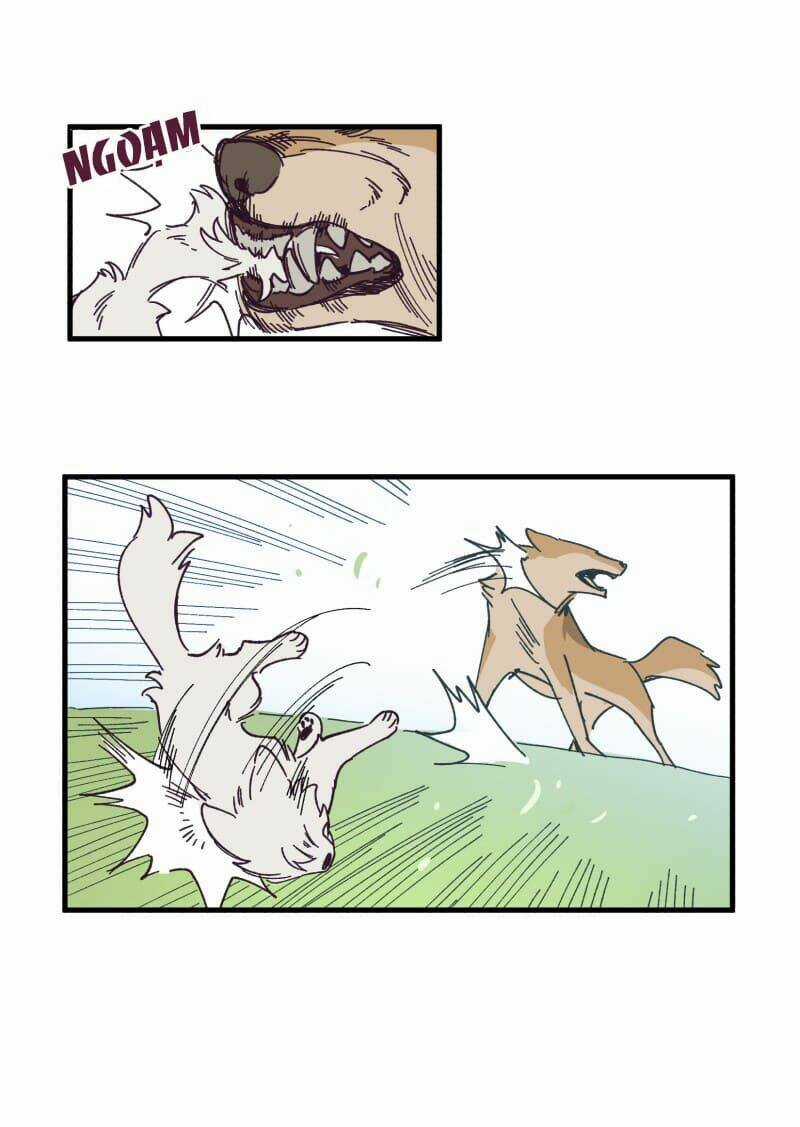 Cội Nguồn Ánh Sáng Chapter 134 trang 19