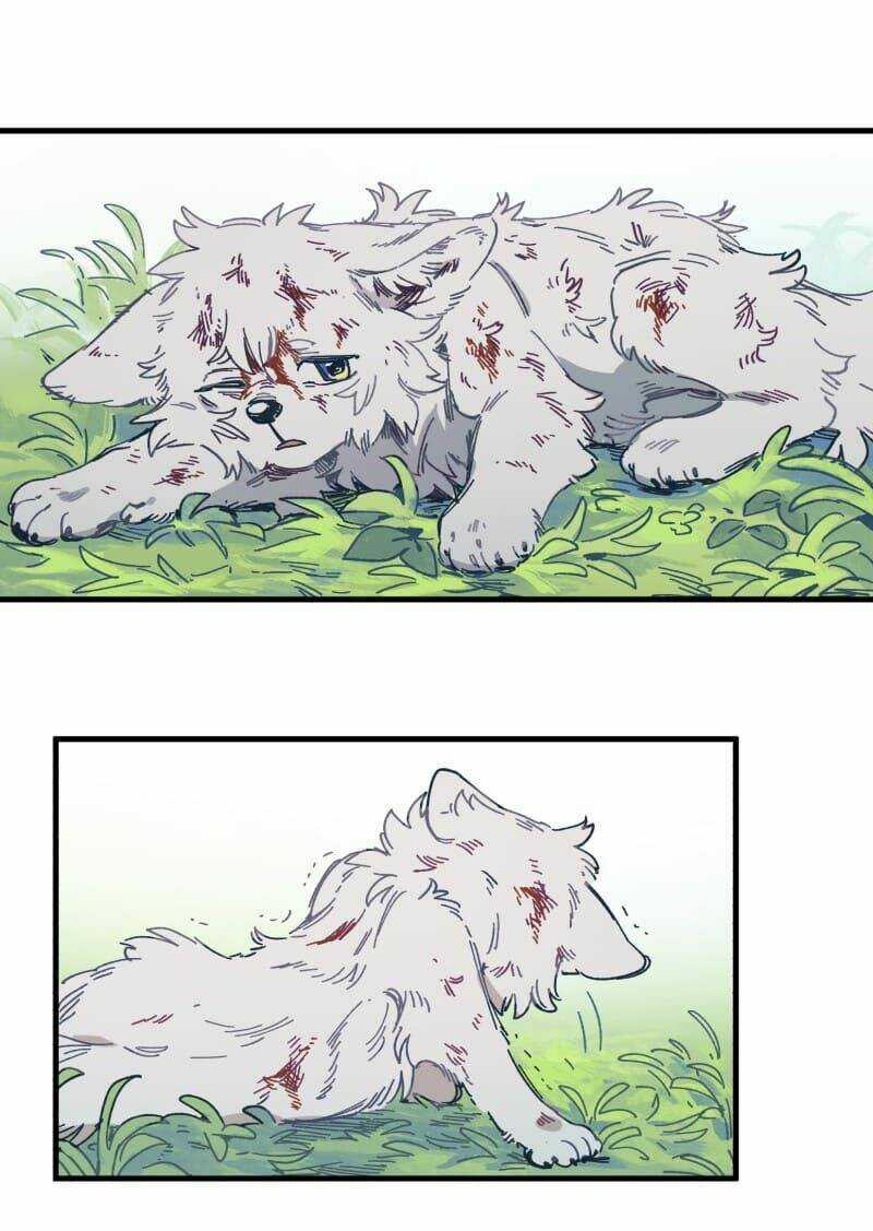 Cội Nguồn Ánh Sáng Chapter 134 trang 23