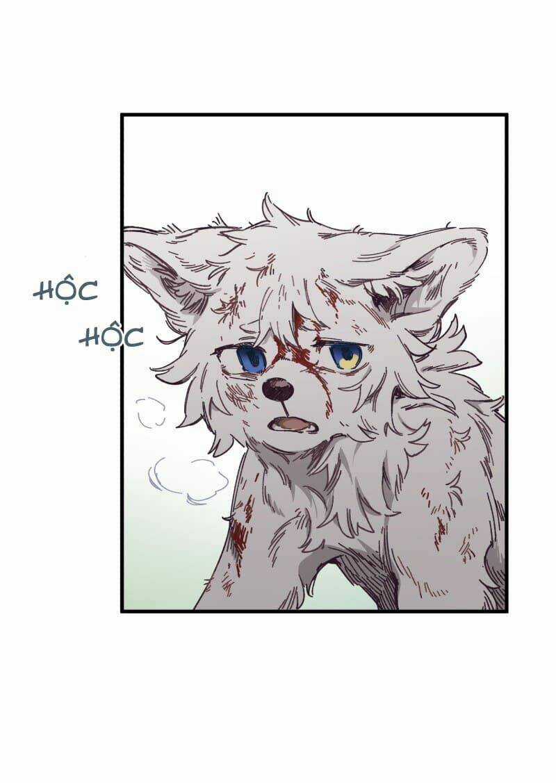 Cội Nguồn Ánh Sáng Chapter 134 trang 24